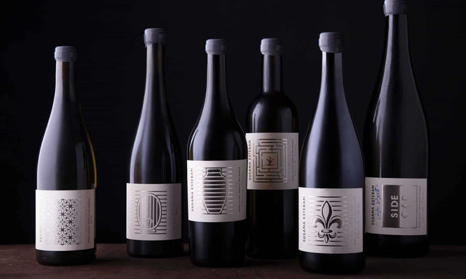 Susana Esteban: uma enóloga com carácter e vinhos de expressão