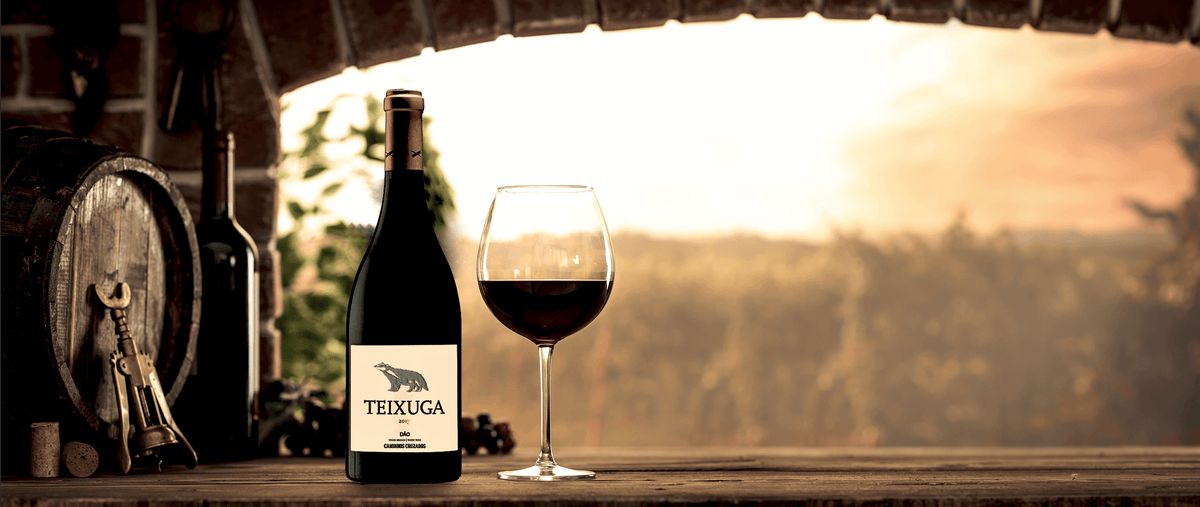 The Excellence of Dão Wines - Vinogrande