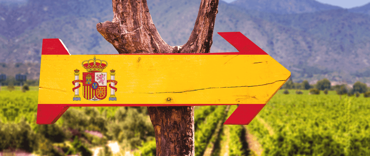 Spain 2016: A Memorable Year - Vinogrande