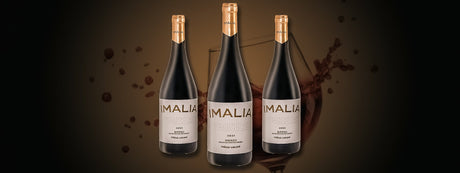 Imalia 3 Parcelas Viñas Viejas Mencía 2021: A Expressão da Tradição e Inovação - Vinogrande