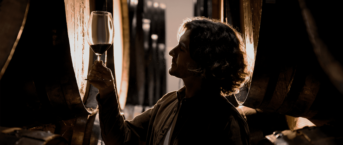Colheita Ports: Hidden Treasures That Deserve Recognition - Vinogrande