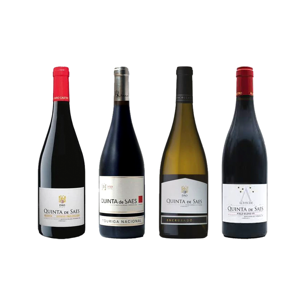 Explorando a Diversidade da Quinta de Saes - Vinogrande