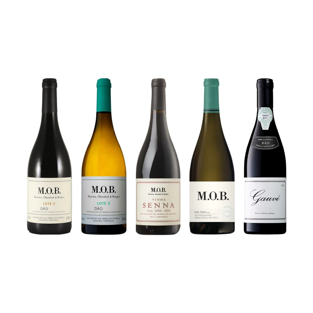 Projeto MOB - Moreira, Olazabal & Borges - Vinogrande