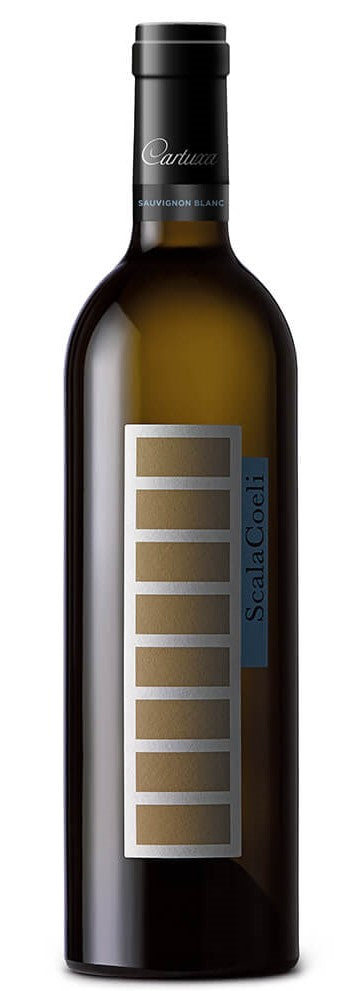 Scala Coeli Sauvignon Blanc Blanco 2022