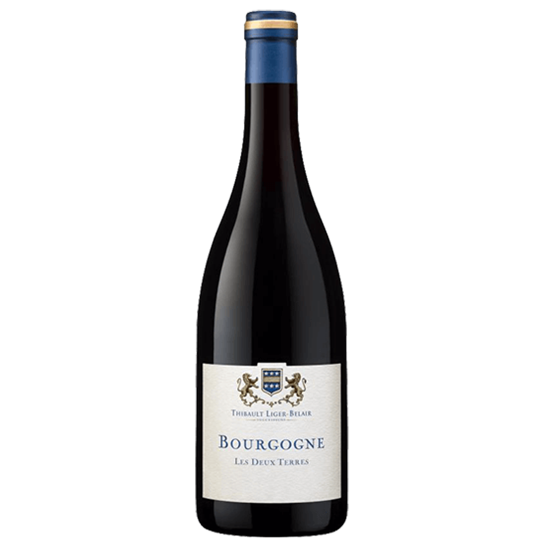 Thibault Liger-Belair : Bourgogne Gamay "Les 2 Terres" 2021 - Vinogrande