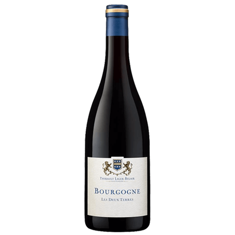 Thibault Liger-Belair : Bourgogne Gamay "Les 2 Terres" 2021 - Vinogrande