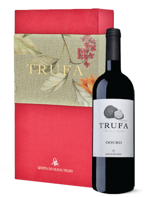 Estojo Luxo 2 gfs - Trufa Tinto