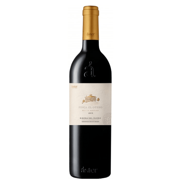 Áster Finca El Otero 2019 Áster Finca El Otero 2019