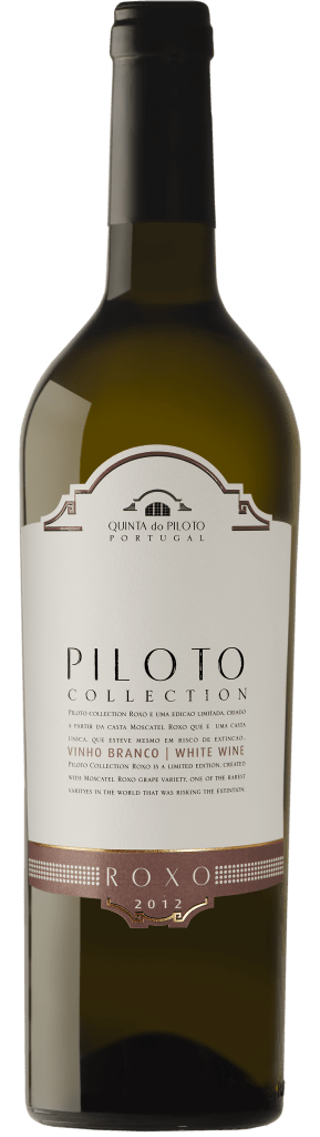 Piloto Collection Roxo Branco 2025