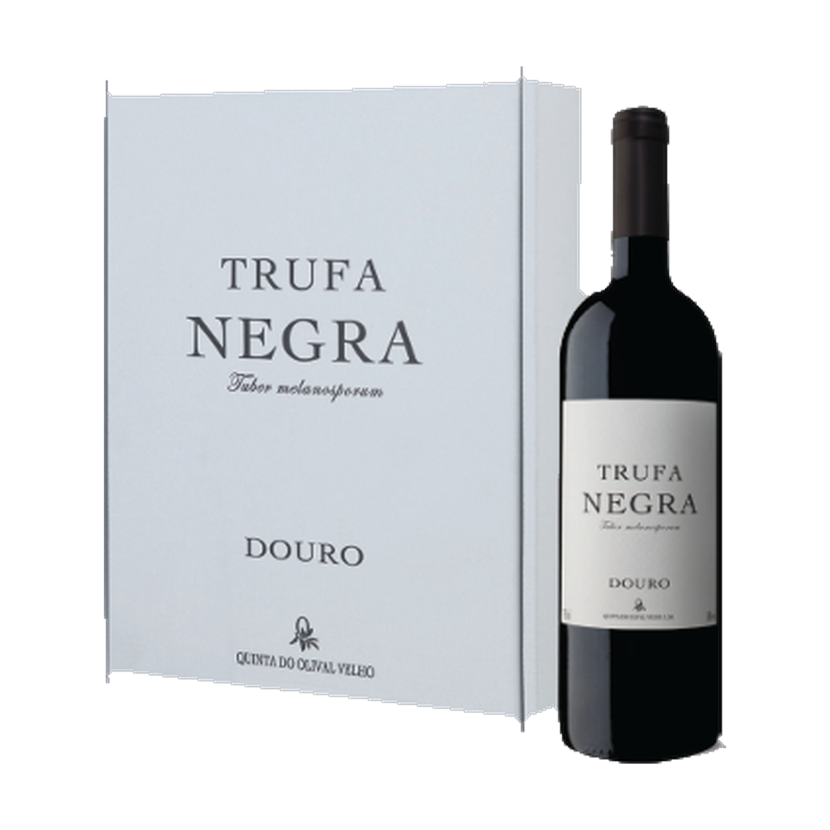 Trufa Negra Conjunto de 3 gfs