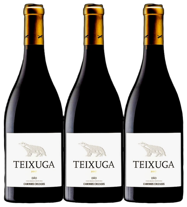 Pack de 3 botellas de Teixuga Tinto 2018 - Vinogrande