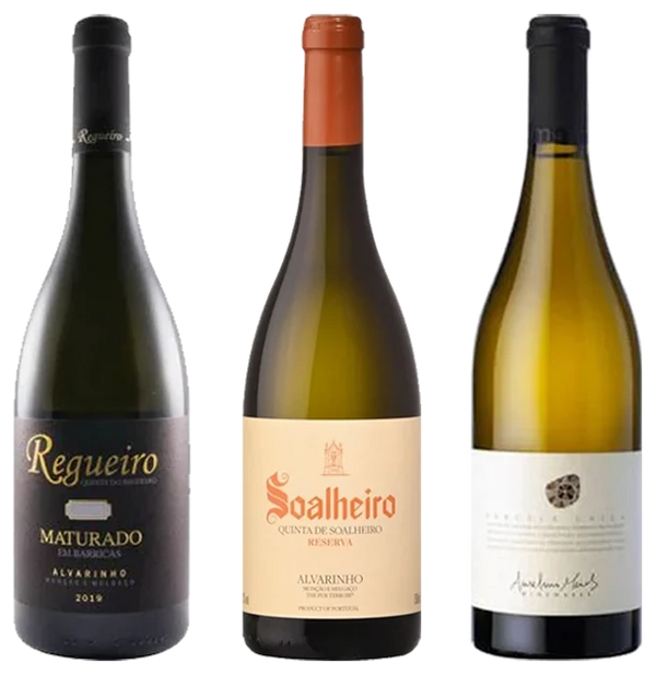 Explorando a Excelência da Casta Alvarinho - Vinogrande