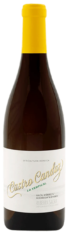 Raúl Peréz Castro Candaz La Vertical 2021 - Vinogrande
