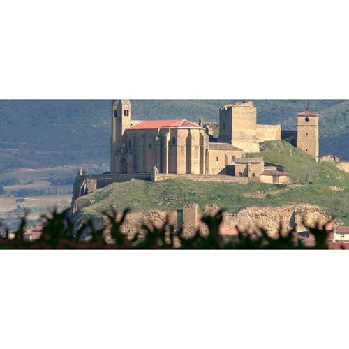 La Nieta 2016/2017 - Vinhos Estrangeiros