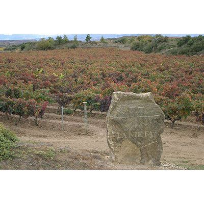 La Nieta 2016/2017 - Vinhos Estrangeiros