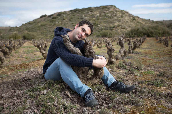 Oxer Bastegieta e os Seus Vinhos: Uma Jornada de Singularidade e Paixão na Rioja Alavesa