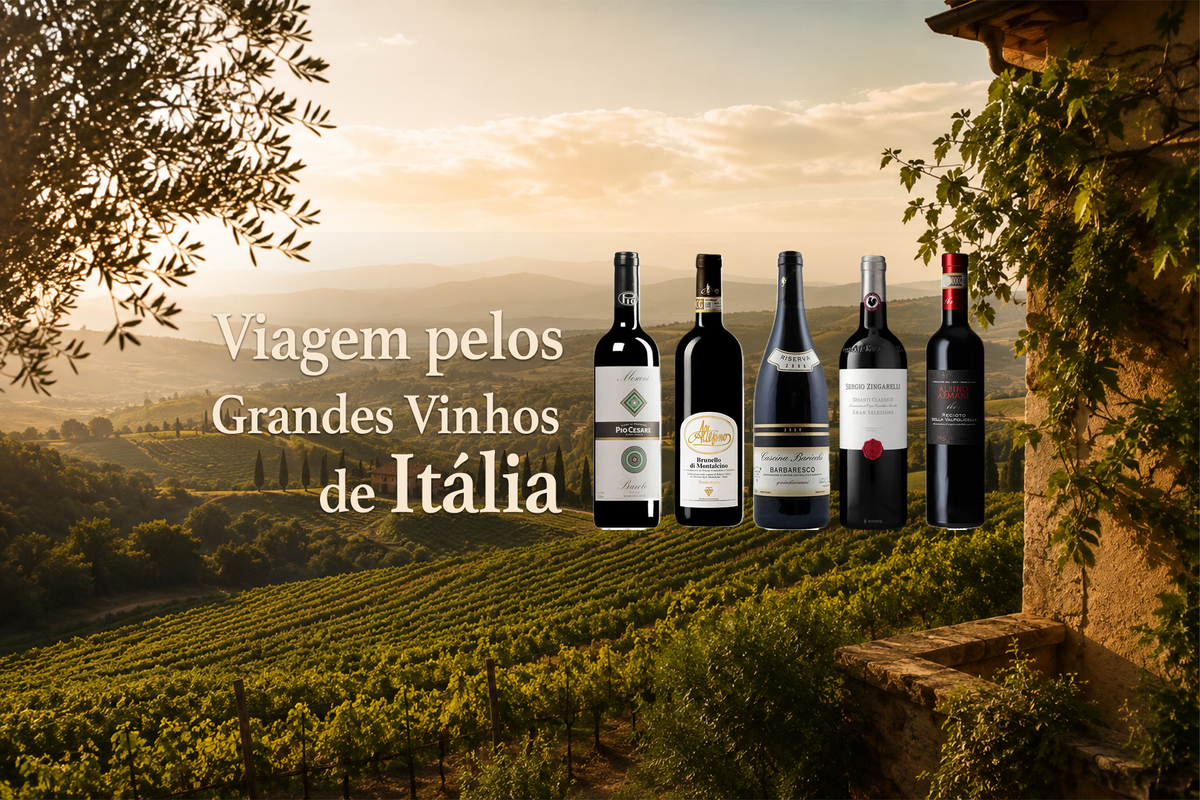 Viaje por los grandes vinos de Italia: diez productores de referencia - Vinogrande