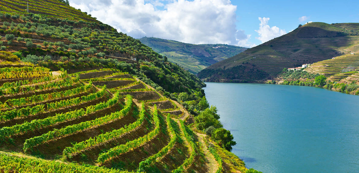 The Wonders of the Douro Superior - Vinogrande