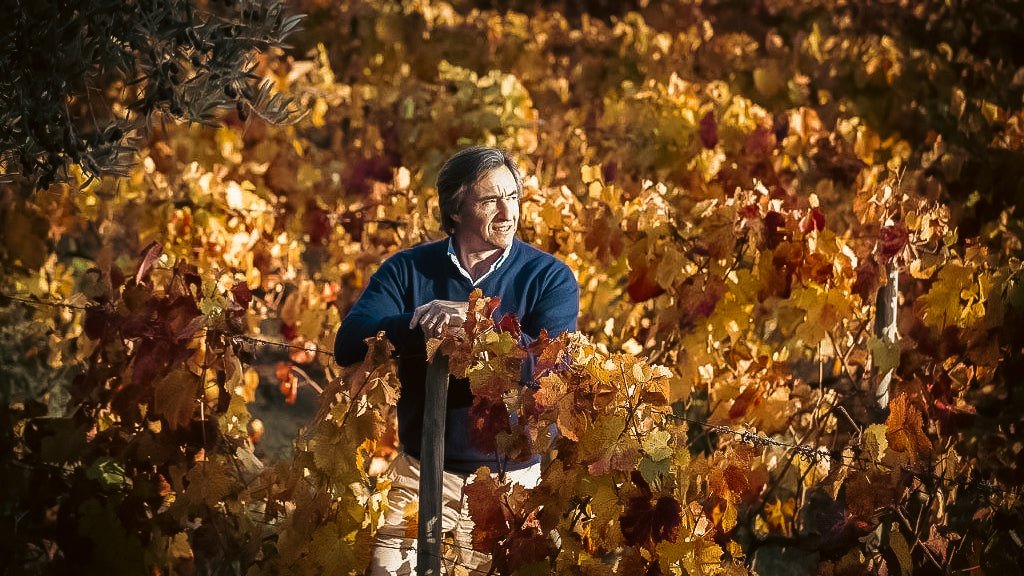 Jorge Moreira: 20 Years Revolutionising the Douro with Passion and Discretion - Vinogrande