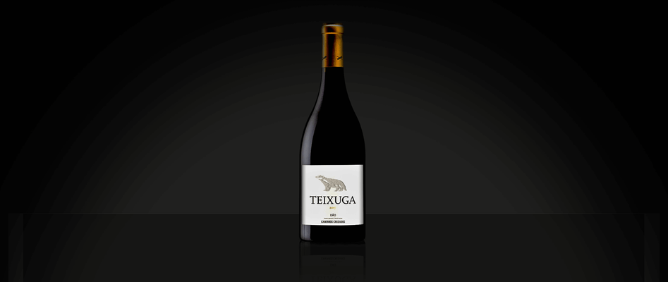 Vinho da Semana: Teixuga Tinto 2017