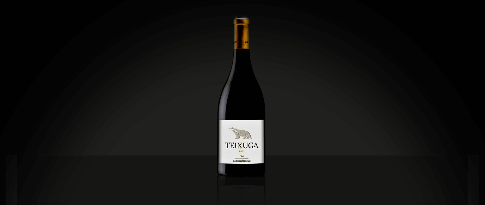 Vinho da Semana: Teixuga Tinto 2017 - Vinogrande