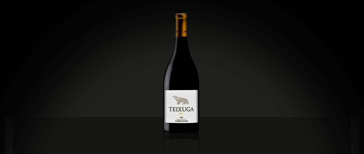 Wine of the Week: Teixuga Tinto 2017 - Vinogrande