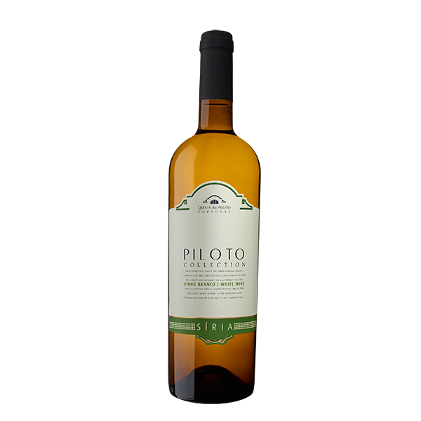 Quinta do Piloto Collection Síria Branco 2022