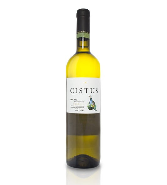 Cistus reserva branco 2023