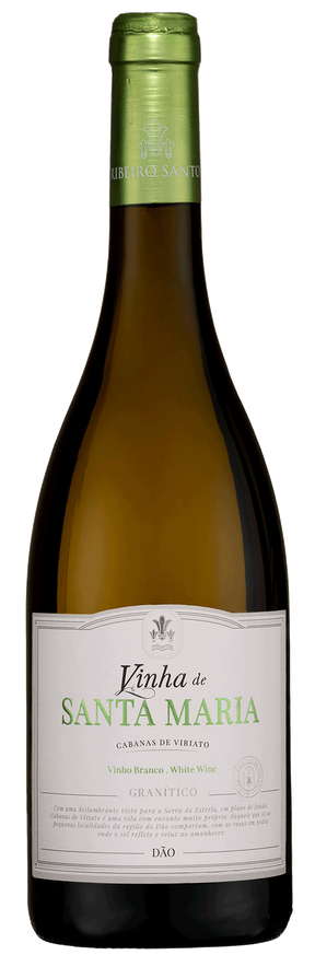 Ribeiro Santo Vinha de Santa Maria Granítico Branco 2024 - Vinogrande