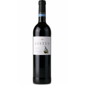 Cistus 2023
