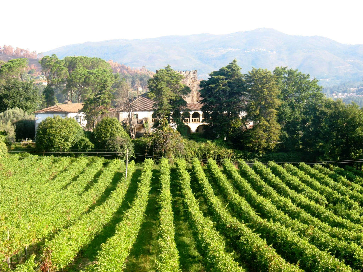 Torre de Aguiã Vinhão 2022 - Vinogrande