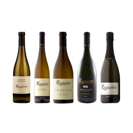 De um Pequeno Projeto de Familia a Produtor do Ano - Vinogrande