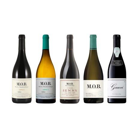 Projeto MOB -  Moreira, Olazabal & Borges - Vinogrande