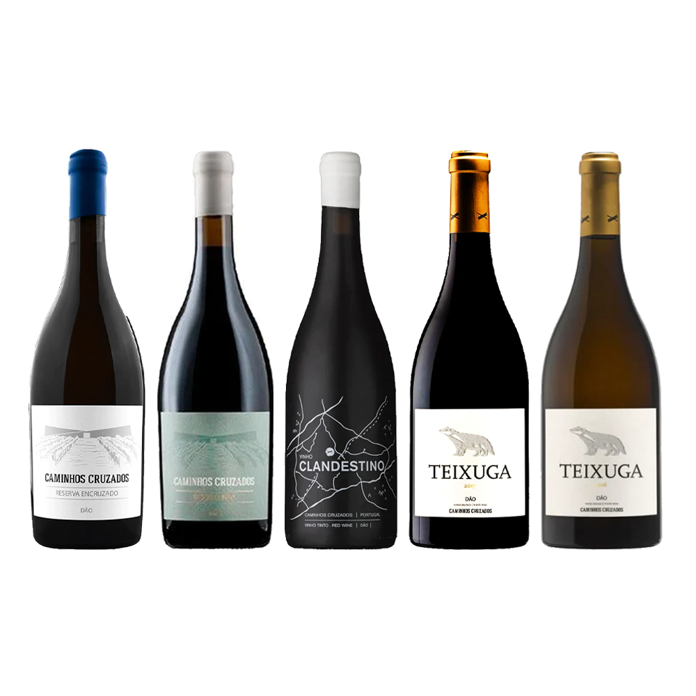 Vinhos Caminhos Cruzados: O Novo Dão - Vinogrande
