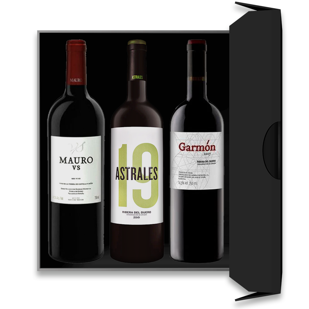 Conjunto de Mauro VS 2020, Astrales 2019 e Garmón 2019 - Vinogrande