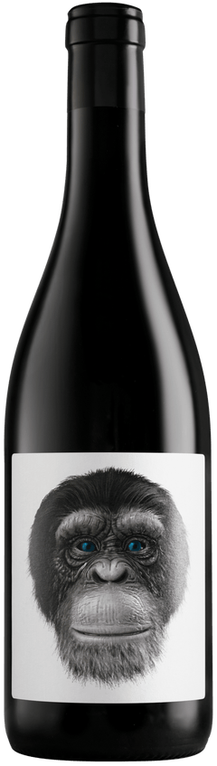 Casa Rojo Clon 98 Tempranillo 2023 - Vinogrande