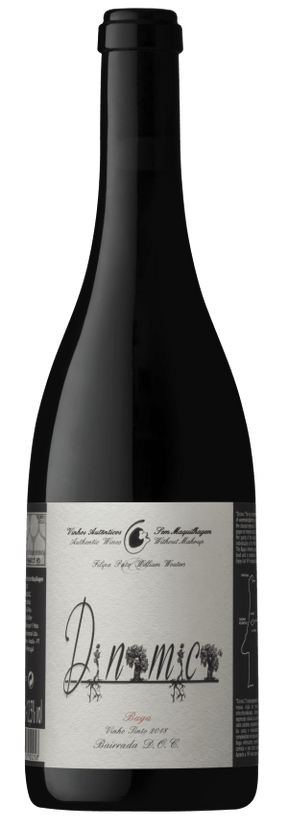 Filipa Pato Dinamica Tinto 2024 - Vinogrande