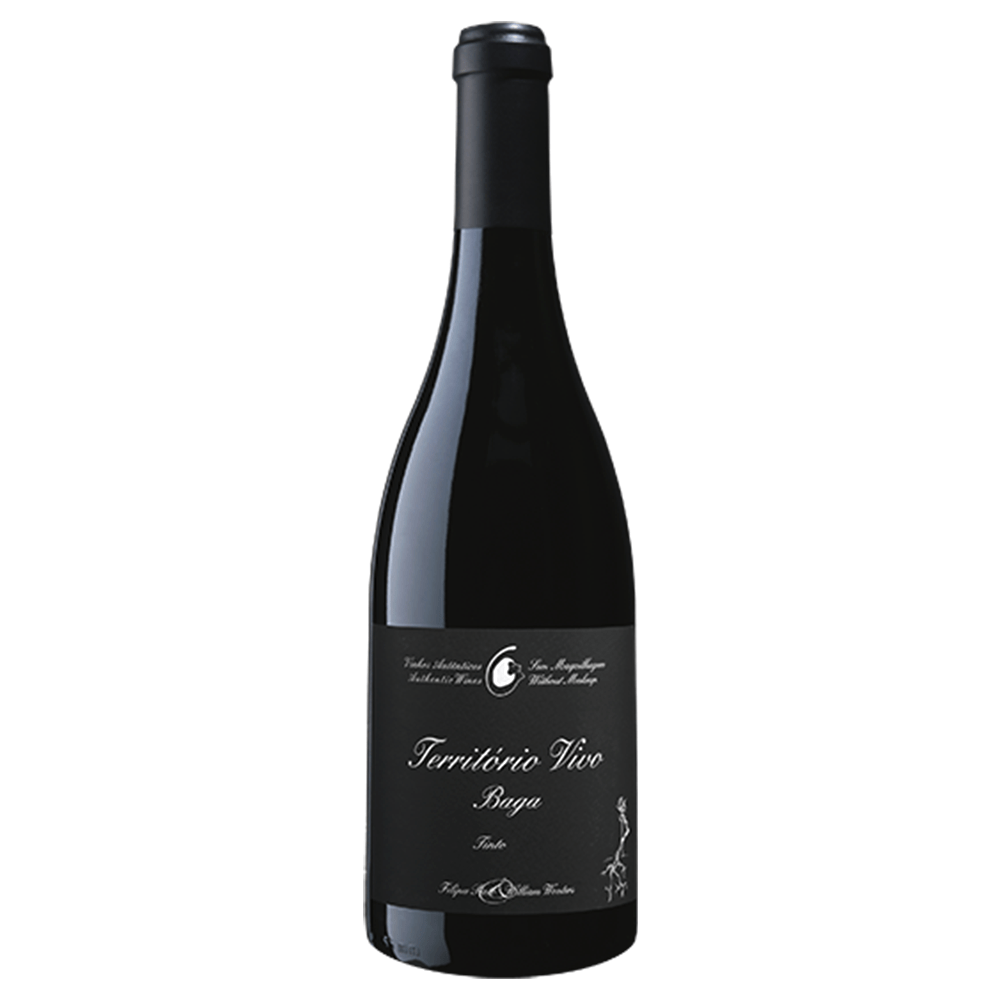 Filipa Pato Território Vivo Tinto Magnum 2017 - Vinogrande