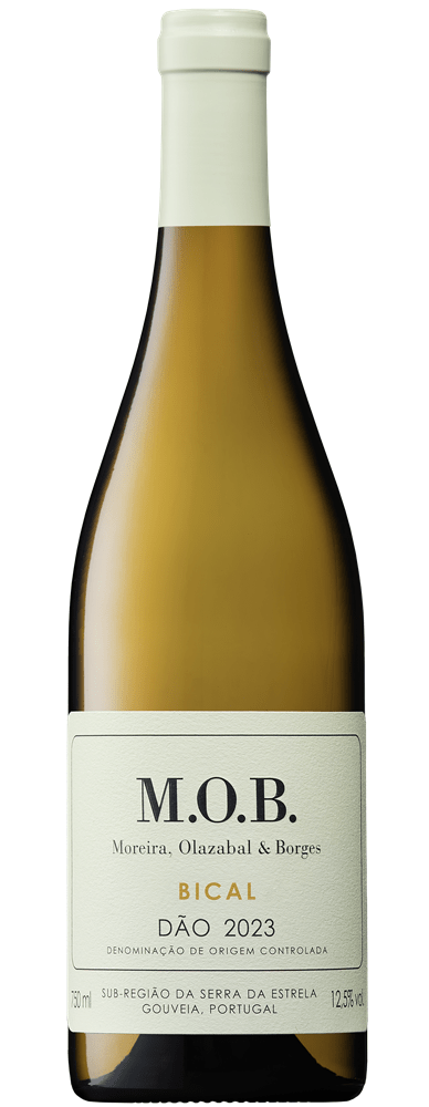 MOB Bical 2023 - Vinogrande