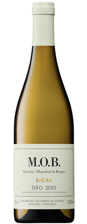 MOB Bical 2023 - Vinogrande