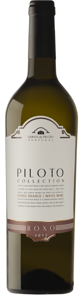 Piloto Collection Roxo Branco 2023 - Vinogrande