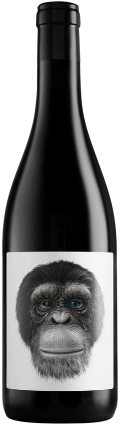 Casa Rojo Clon 98 Tempranillo 2023 - Vinogrande