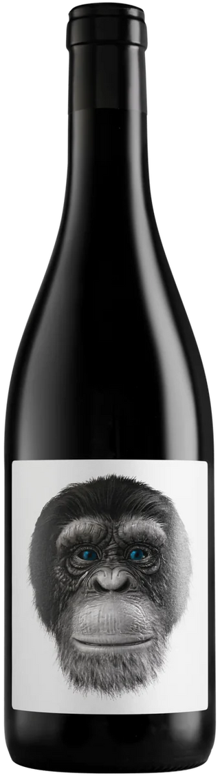 Casa Rojo Clon 98 Tempranillo 2023 - Vinogrande