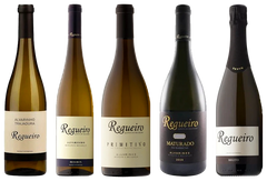 De um Pequeno Projeto de Familia a Produtor do Ano - Vinogrande