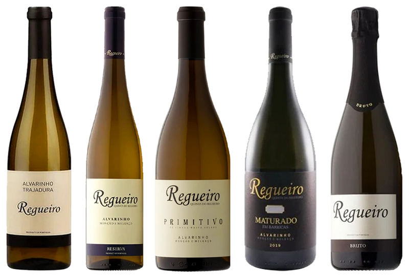 De um Pequeno Projeto de Familia a Produtor do Ano - Vinogrande