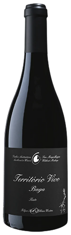 Filipa Pato Território Vivo Tinto Magnum 2017 - Vinogrande
