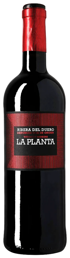 La Planta Tinto 2022 - Vinogrande