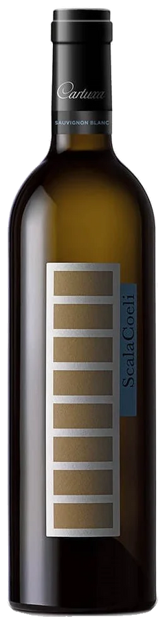 Scala Coeli Sauvignon Blanc Branco 2022 - Vinogrande
