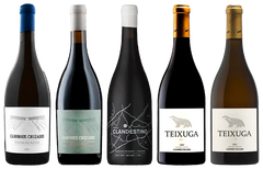 Vinhos Caminhos Cruzados: O Novo Dão - Vinogrande